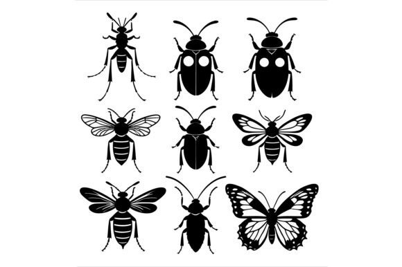 Collection of Insect: A Versatile Design Resource for Creative Projects