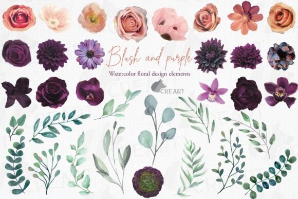 Plum Purple Blush Watercolor Flowers Set