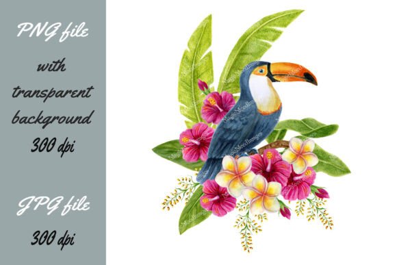 Toucan Bird Tropical Flowers Palm Leaves: A Design Evaluation