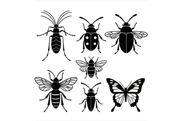 Unlocking Creativity with the Collection of Various Insect Illustrations