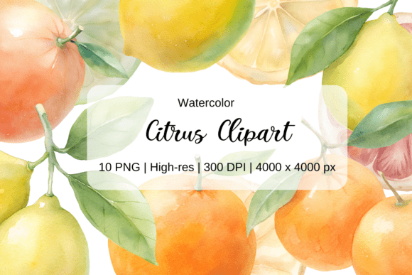 Watercolor Citrus Clipart Lemon Orange: A Strategic Asset for Visual Branding