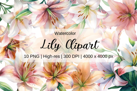 Watercolor Lily Clipart for Creative Projects